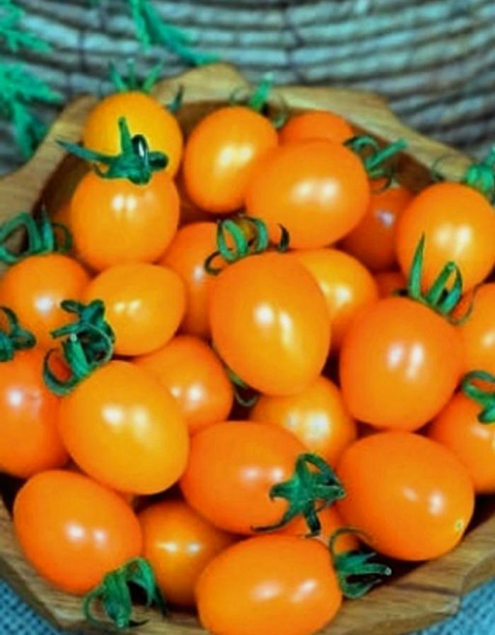 Томат Карат (УД) 20шт цв.п семена томат казанова 20шт