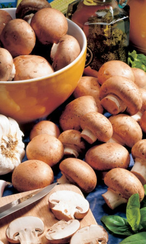 Грибы Шампиньон Королевкий (УД) 30 мл/15 гр цв.п