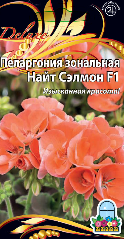 Пеларгония зональная F1 Найт Сэлмон 5 шт      