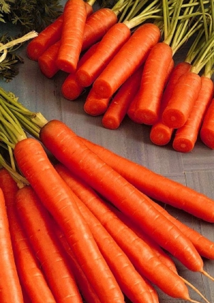 Морковь Амстердамска (УД) 2гр цв.п. семена морковь флакке 2гр цп