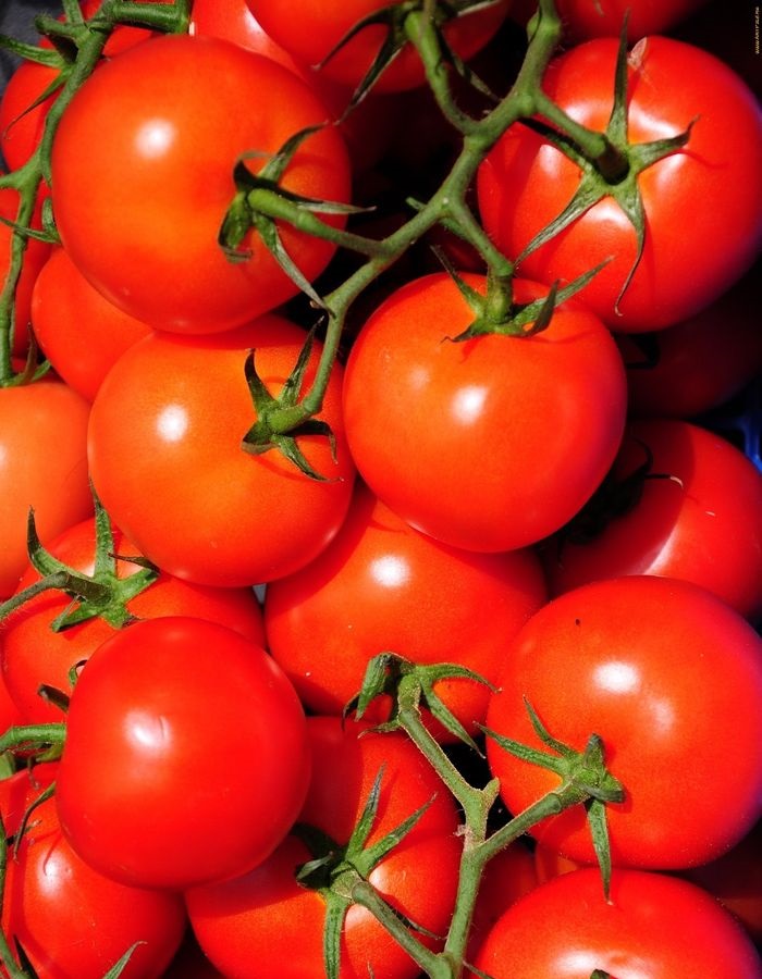 Томат Уральский дачник (УД) 20 шт семена томат дачник 20 шт