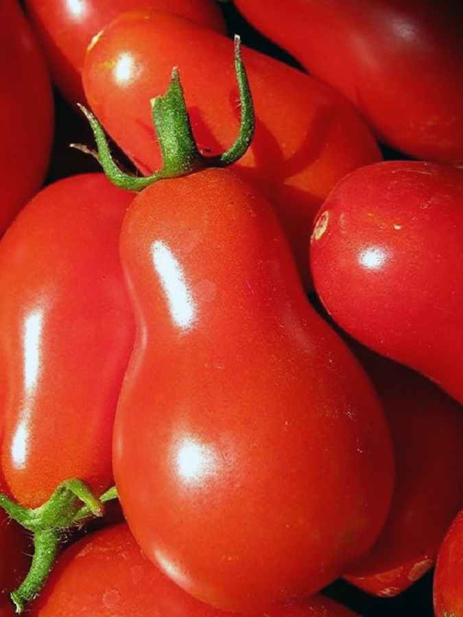 Томат Сибирская груша красная (УД) 0,1 гр цв.п семена томат красная груша 5 шт