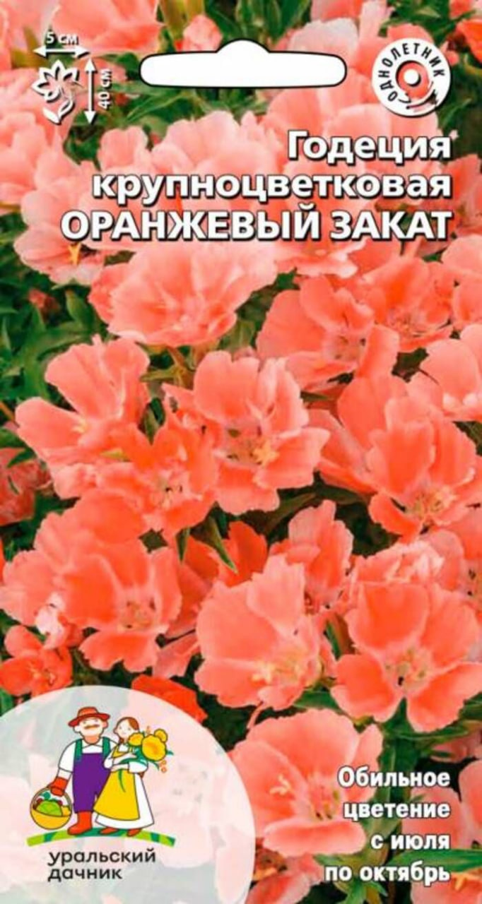 

Годеция крупноцветковая Оранжевый закат (УД) 0,1 гр цв п