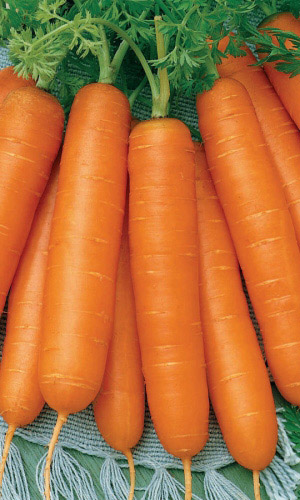 Морковь Несравненная (УД) 2 гр цв.п.