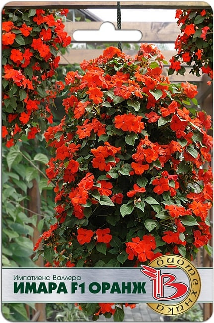 Бальзамин (импатиенс) Валлера Имара F1 Оранж 8 шт