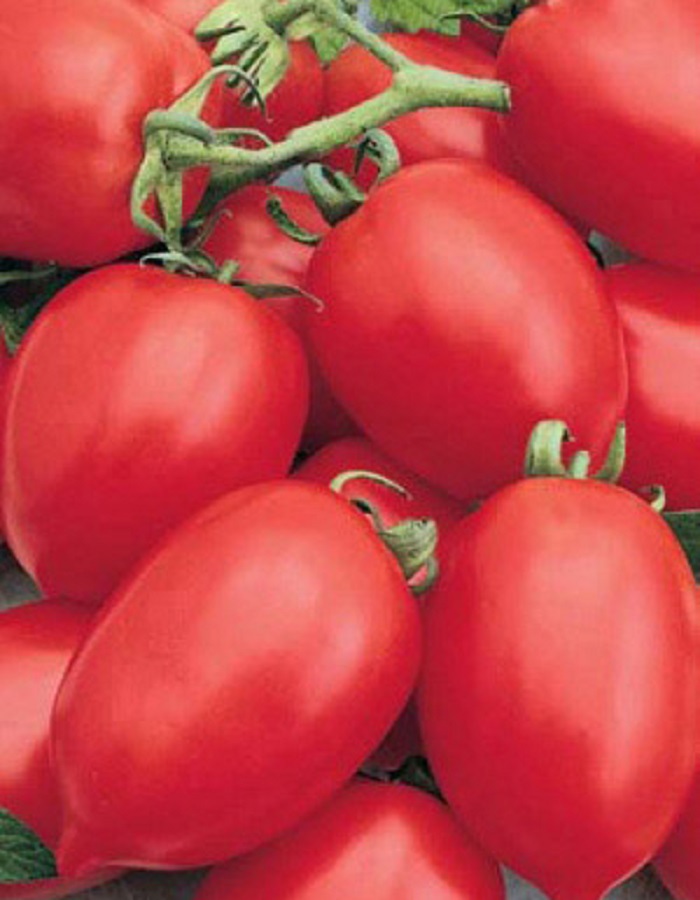 Томат Ни забот,ни хлопот (УД) 20 шт цв.п семена томат ни забот ни хлопот
