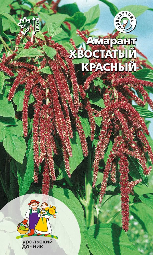 Амарант Хвостатый красный УД 025 гр цв п 57₽