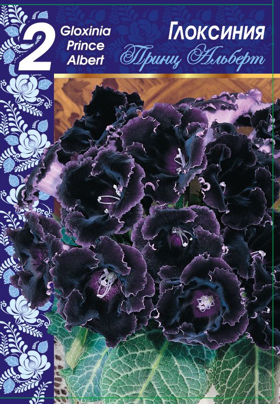 

Глоксиния Принц Альберт 1 уп. (2 шт.)