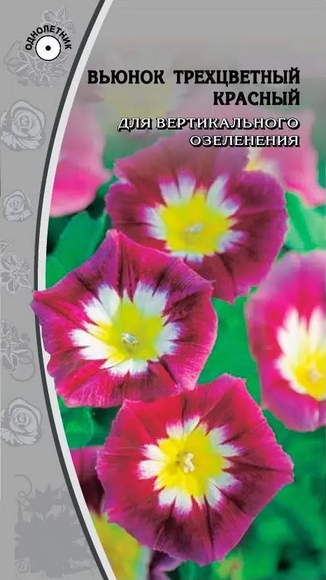 Вьюнок трехцветный  красный 0,5 гр