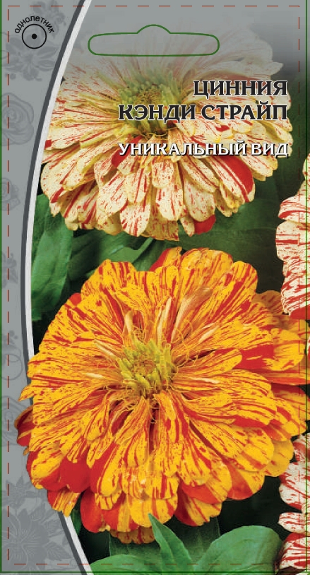 

Цинния Кэнди Страйп 0,5 гр