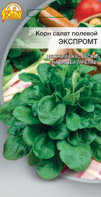 

Салат корневой полевой Экспромт 1 гр цв.п