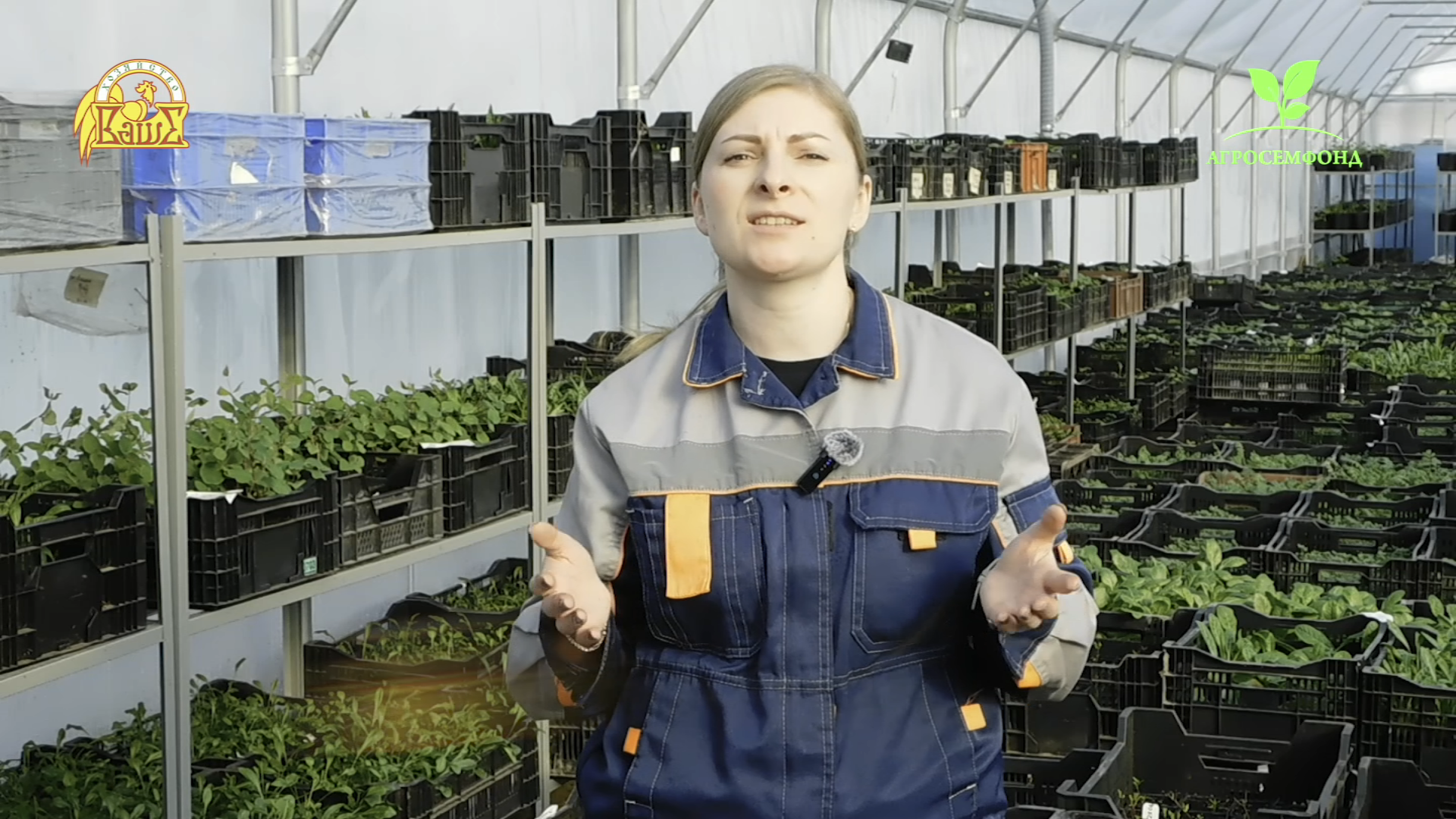 Пополнение ассортимента корней и луковиц многолетних цветов