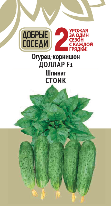 

Огурец ДОЛЛАР и Шпинат СТОИК