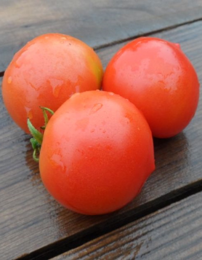 Томат Филиппок (УД) 20 шт цв п томат яблочный уд 20 шт цв п