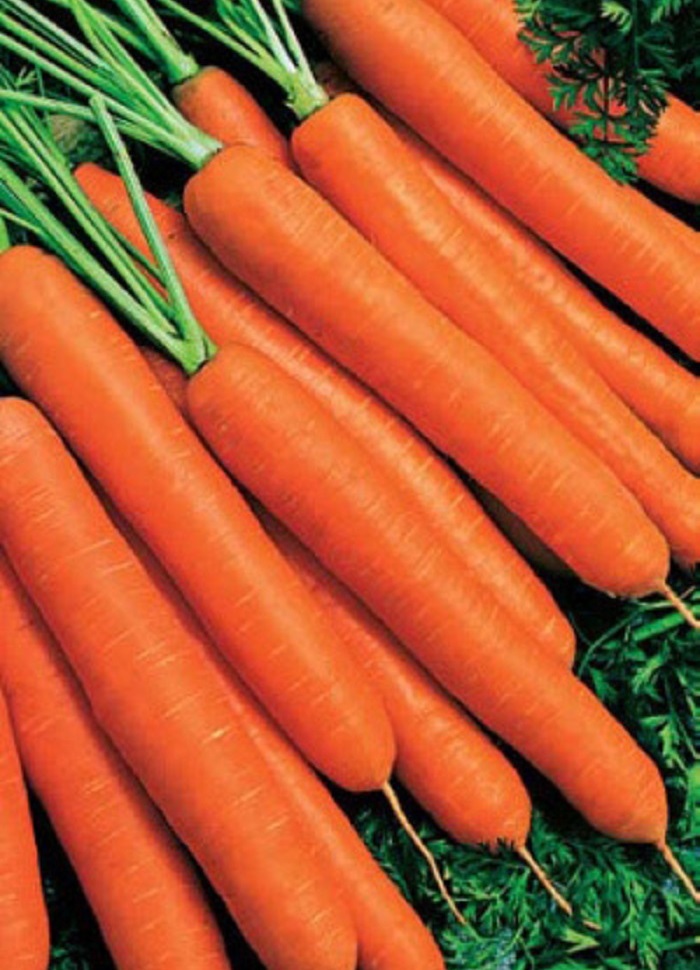 Морковь Без сердцевины (УД) 2гр цв.п., Морковь, Морковь семена
