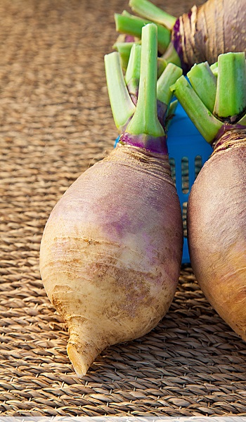 

Брюква Красносельская 0,5 гр б.п.