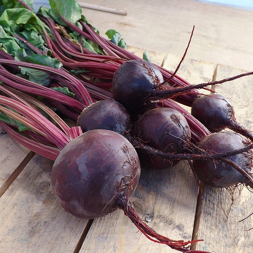 Свекла Темная лошадка (УД ) 2 гр  цв.п