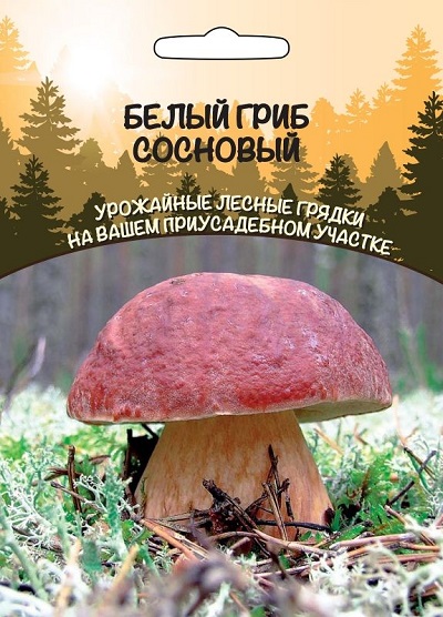 Грибы Белый гриб Сосновый (УД) 30 мл/15 гр цв.п