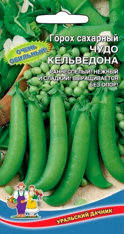 Горох Чудо Кельведона - сахарный (УД) 5 гр цв.п.
