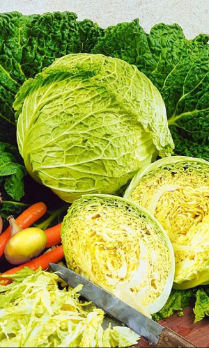 Капуста савойская Золотая ранняя (УД) 0,25гр. цв.п.