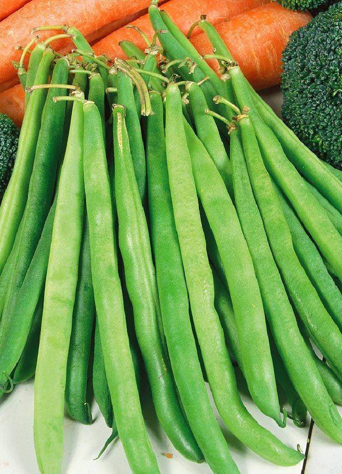 

Фасоль спаржевая Паулиста (Wing Seed) 5 гр цв.п.