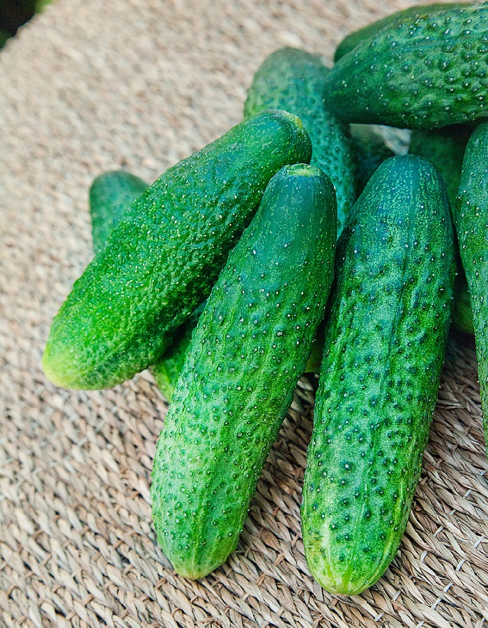 

Огурец Буран F1 0,25 гр цв.п.