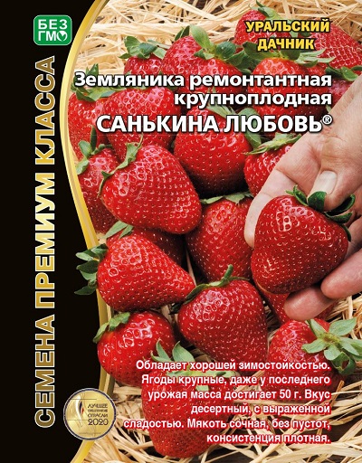 Земляника Санькина любовь - ремонтантная (УД) 6 шт