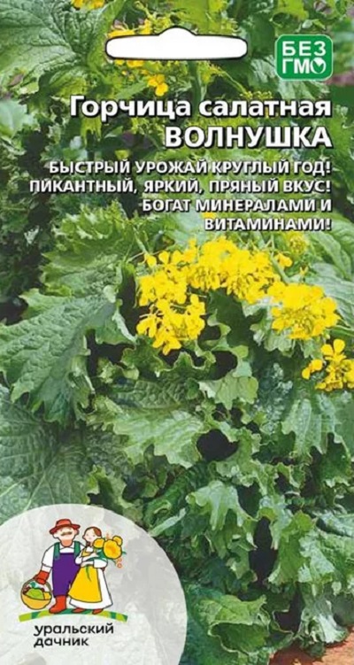 Горчица салатная Волнушка (УД) 1 гр цв.п