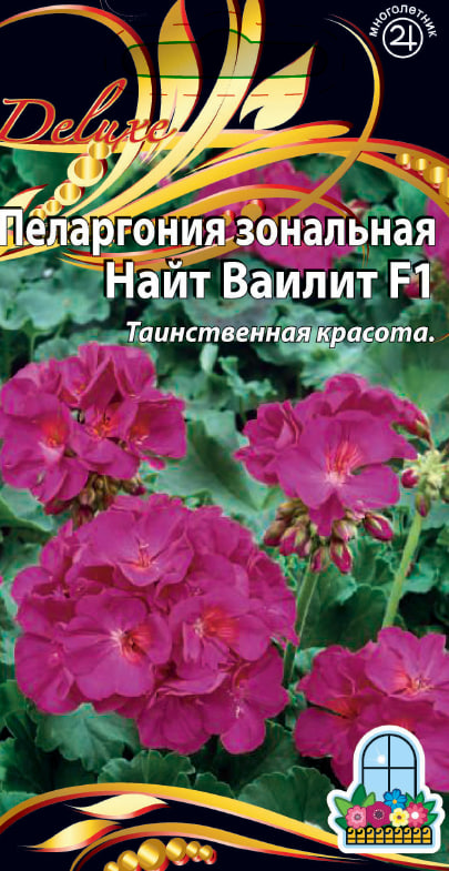 

Пеларгония зональная F1 Найт Ваилит 5 шт