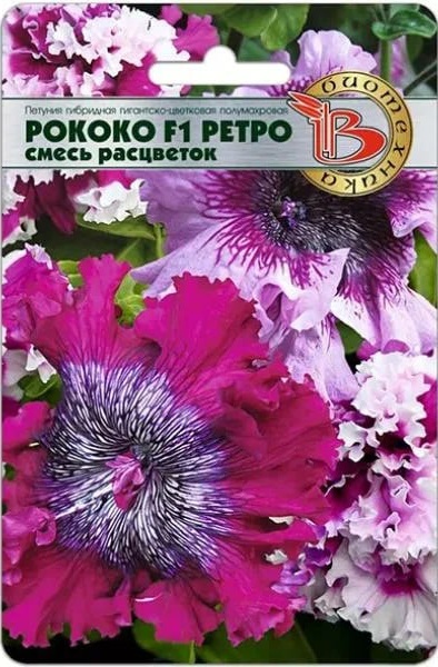 Петуния Рококо F1 Ретро смесь расцветок 12 шт Гигантско-цветковая