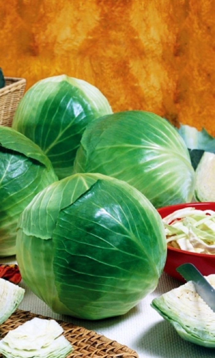 

Капуста белокочанная Мечта (УД) 0,3 гр цв,п.