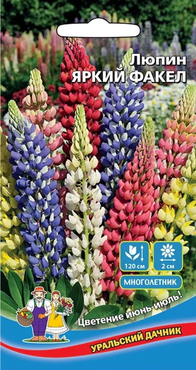 

Люпин Яркий Факел (УД) 10 шт цв.п.