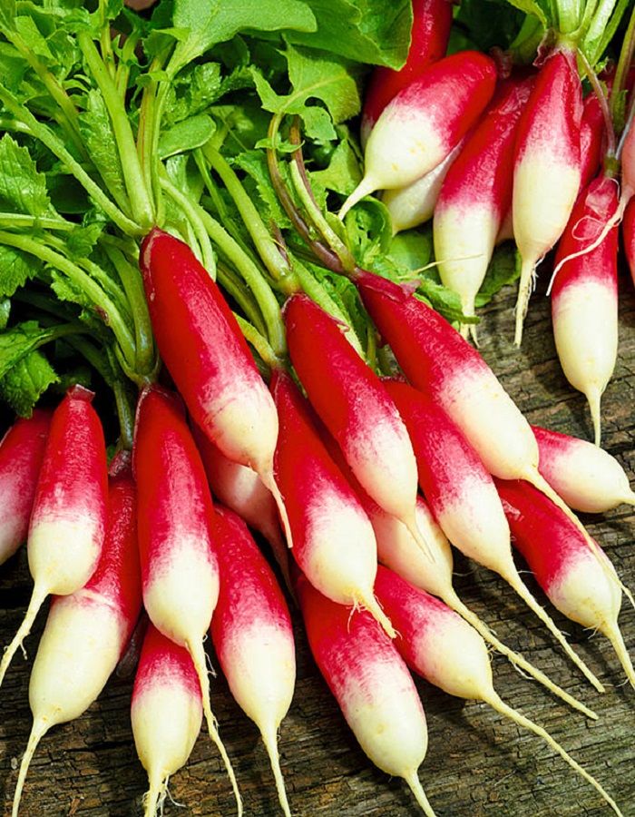 

Редис Дамский (УД) 2 гр цв.п.