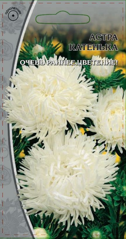

Астра обильноцветущая Катенька 0,2 гр