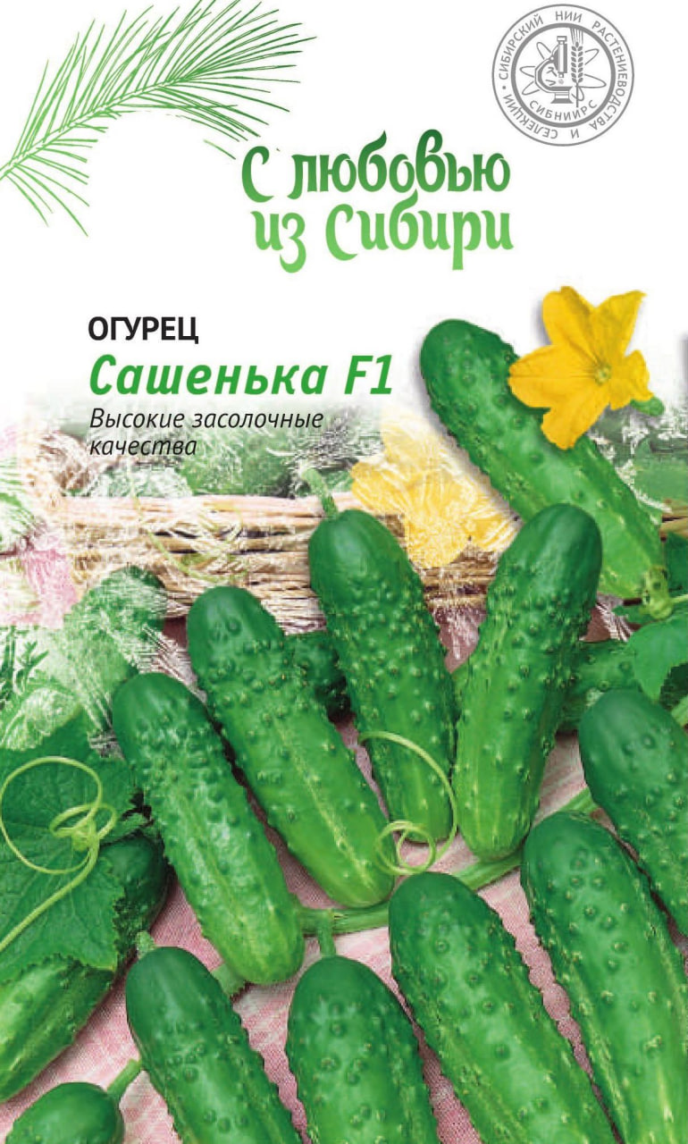 Огурец Сашенька F1 0,25г цв.п (Сибирская серия)