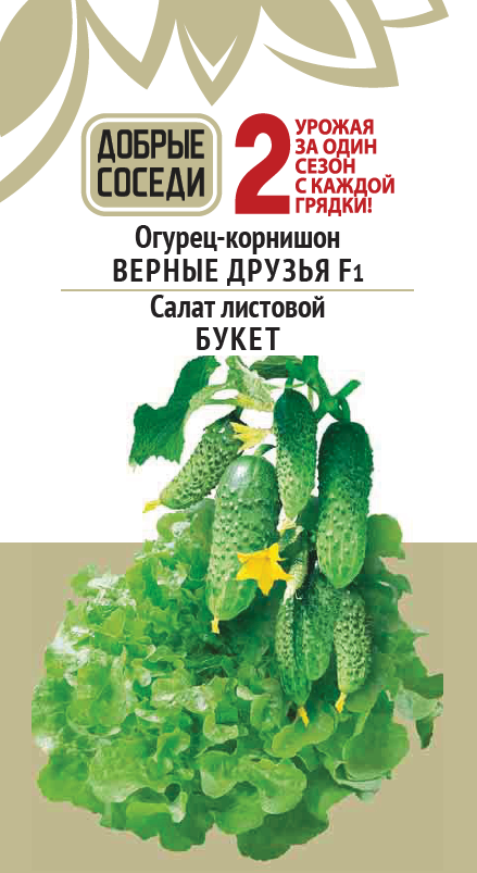 Огурец-корнишон ВЕРНЫЕ ДРУЗЬЯ F1 и Салат листовой БУКЕТ семена салат фантайм f1 10 шт в комлпекте 2 упаковок ка ки