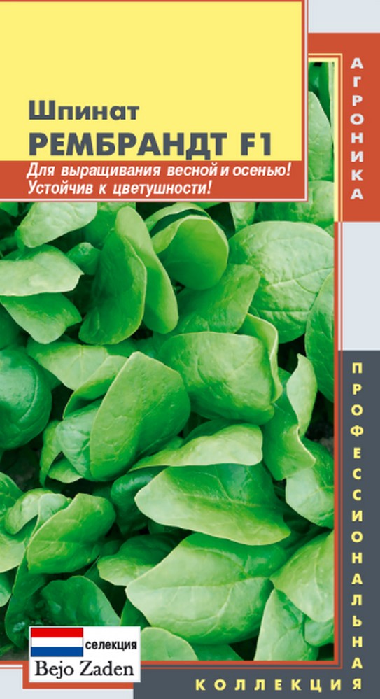 Шпинат Рембрандт F1 Bejo Zaden 1 гр цвп 39₽