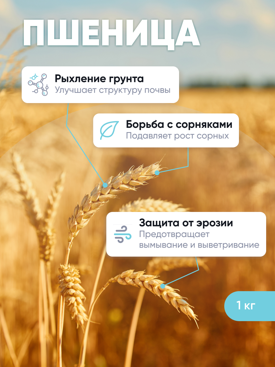 Пшеница 1 кг
