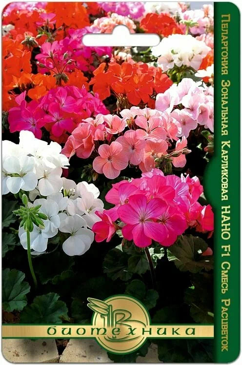 Пеларгония зональная карликовая Нано F1 смесь 5 шт