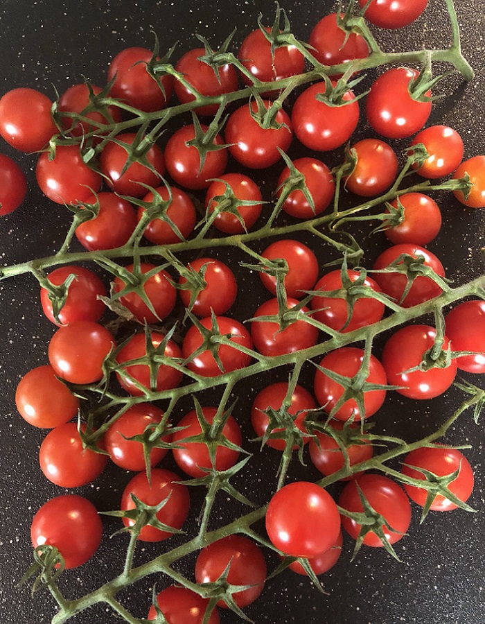 Томат черри Требус F1 (Enza Zaden) 5шт, цв.п. семена томат черри негро f1