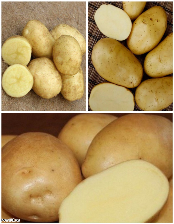 Набор Выбор гурмана 3 сорта 3 кг 699₽