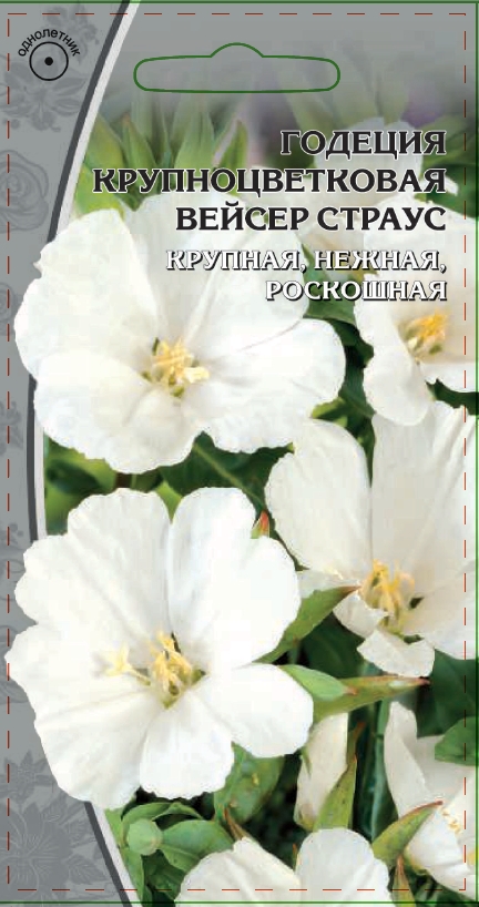 

Годеция крупноцветковая Вейсер Страус 0,3 гр