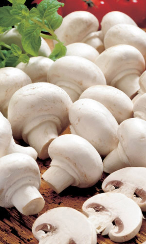 Грибы Шампиньон Миндальный (УД) 30 мл/15 гр цв.п