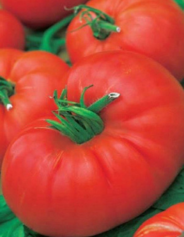Томат Нужный Размер крупноплодный (УД) 20 шт цв.п семена томат сахарный гигант крупноплодный до 600 г розово красный 20 шт