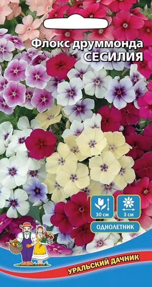 

Флокс друммонди Сесилия (УД) 0,2 гр цв.п