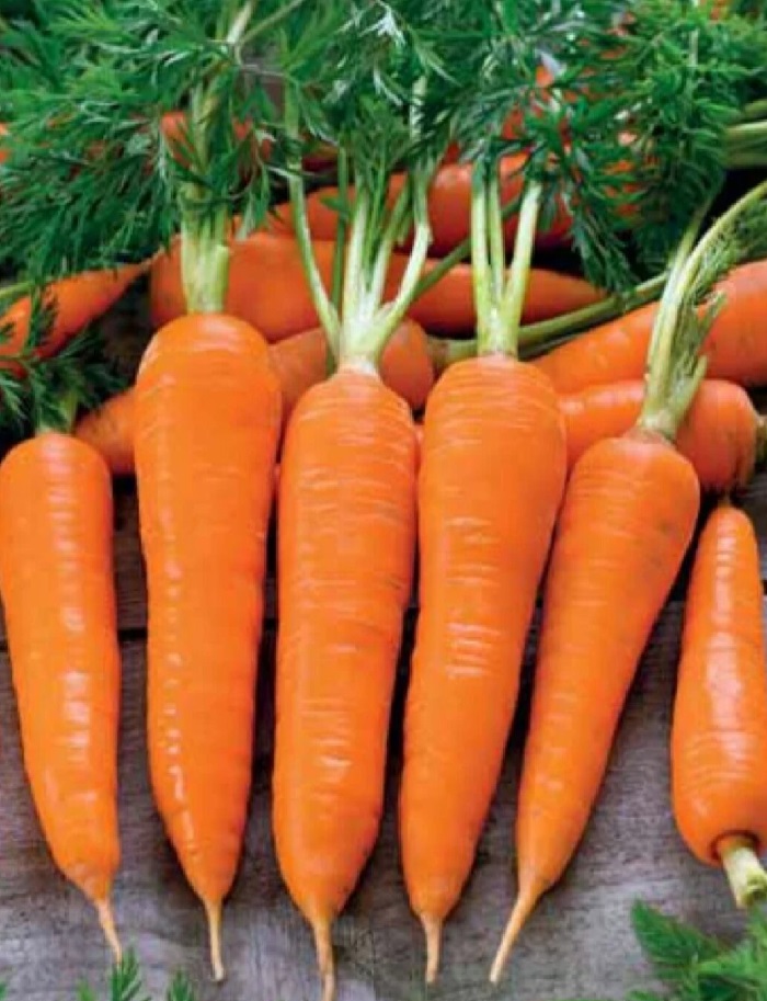 Купить семена овощей, Морковь Рахат Лукум (УД) 1 гр цв.п., id: 9710 -Морковь недорого в магазине в Уссурийске, цена 2023