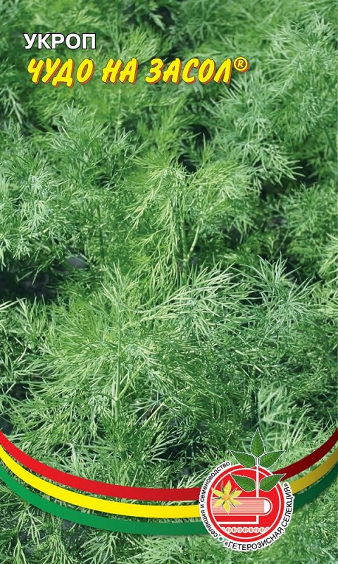 Укроп Чудо на засол (УД) 2 гр цв п