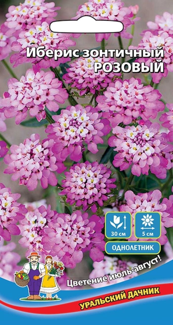 

Иберис зонтичный Розовый (УД) 0,15 гр цв п