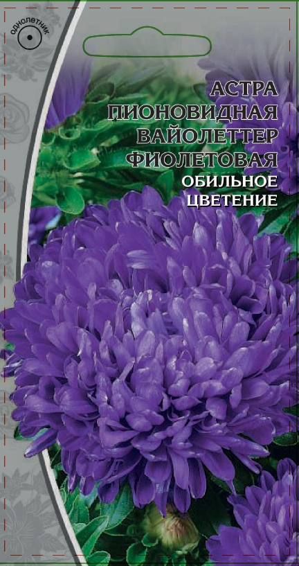 Астра Вайолеттер фиолетовая 0,2 гр