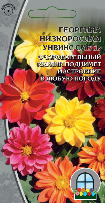 Георгина Унвинс смесь 0,1 гр цв п